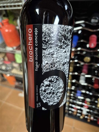 Kastilie a León Ribera del Duero Finca Monte Concejo Brochero 2019