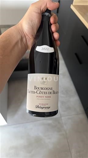 Бургундія Не вказано Domaine Lagrange 2022