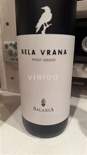 Vinos Blanc sec Bela Vrana Salaxia 2020 Italia Valle de Aosta Pinot Gris DOC