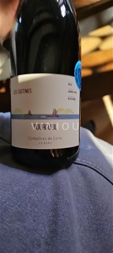 Rượu vang Rouge sec Complices de Loire Les Castines Non millésimé Pháp Thung lũng sông Loire Bourgueil AOC