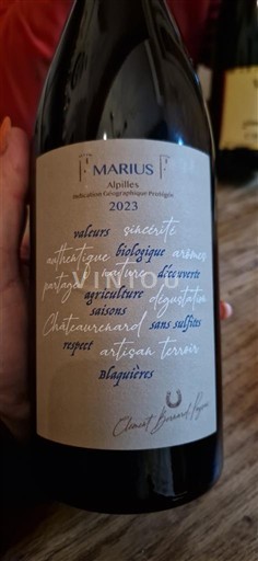 Альпи та Ронські землі Альпілю. Domaine Clément Girardot Marius 2023