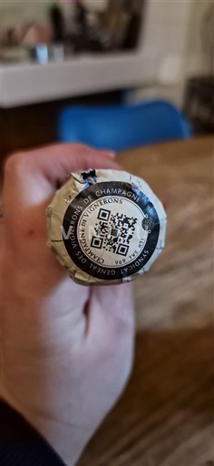 Šampanja Šampanjec Champagne Guy Méa Neleten.