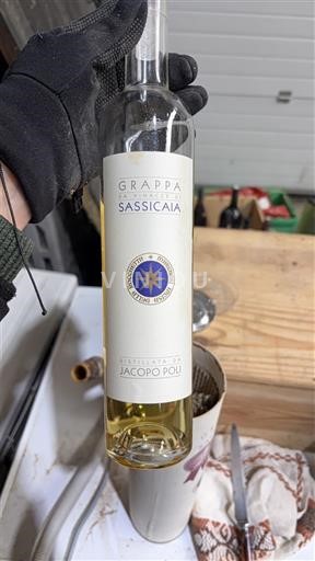Toscane Jacopo Poli Grappa di Sassicaia Non Millésimé