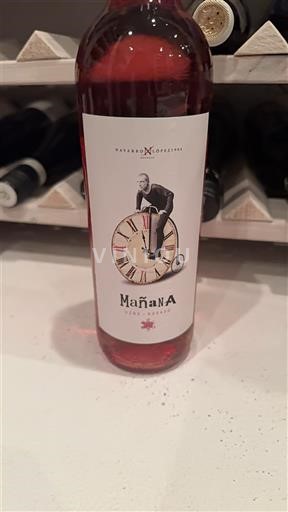 Кастилія-Ла-Манча Navarro Lopez Mañana 2024