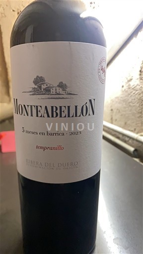 Кастилія і Леон Рибера-дель-Дуеро Monteabellón 5 meses en barrica 2023
