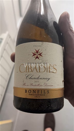 Лангедок та Руссійон Паї д'Ок Domaine Cibadiès Chardonnay 2017