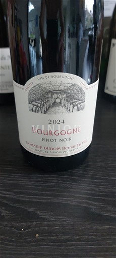 Бургундія Domaine Bois Bernard & Fils 2024