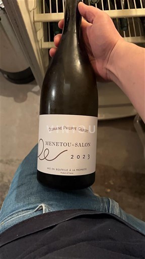 Thung lũng sông Loire Menetou-salon Domaine Philippe Gilbert 2023