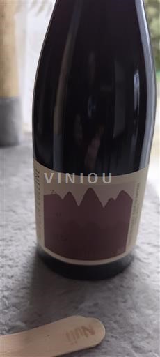 Бургундія Вольне La Cadette 2021