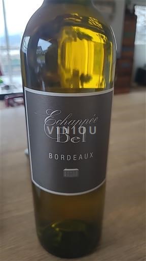 Vinhos Blanc sec Echappée Bel 2024 França Bordéus AOC