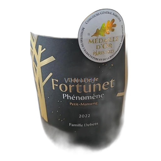 Південний Захід Жюрансоне Domaine Fortunet false 2022