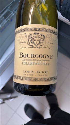 Бургундія Louis Jadot Chardonnay 2022
