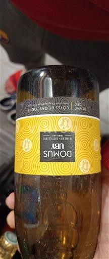 Viner Blanc sec Domus Vini 2020 Frankrike Sydväst Côtes de Gascogne IGP