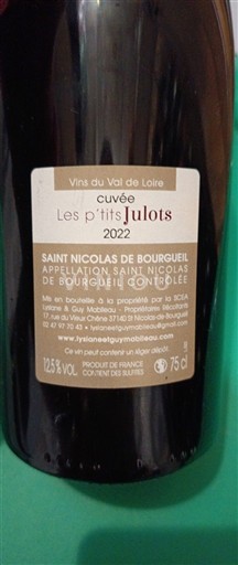 Thung lũng sông Loire Saint-Nicolas-De-Bourgueil Domaine Guy Moulin Les p'tits Julots 2022