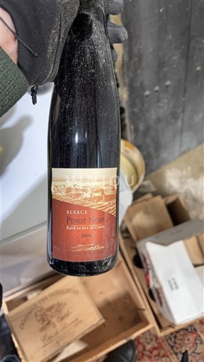 Ельзас Muré Pinot Noir Élevé en Fût de Chêne 2011