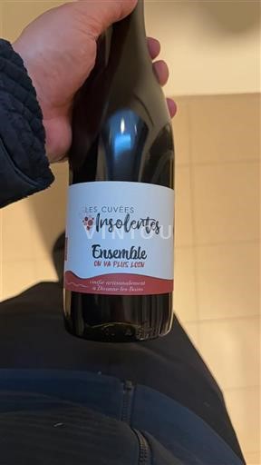 Луарська долина Вал-де-Луар Les Cuvées Insolentes Ensemble (On va plus loin) 2022