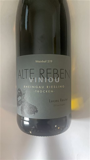 Рейнгау Не вказано Weinhof 519 Alte Reben 2024