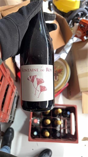 Луарська долина Сомюр-Шампіньї Fontaine du Roy 2015