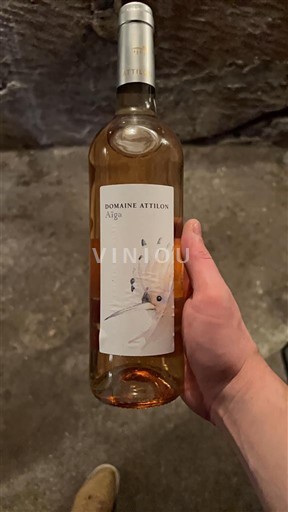 Provence, hạ lưu Rhône, Corse Địa Trung Hải Domaine Attilon Alba Không niên vụ