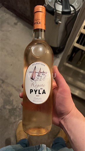 Аквітанія та Шарант Атлантік Régate de Pyla 2024