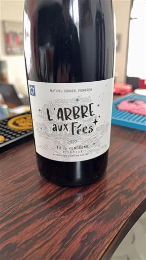 Луарська долина Ф'єфи Вандеї Mathieu Coirier L'Arbre aux Fées 2022