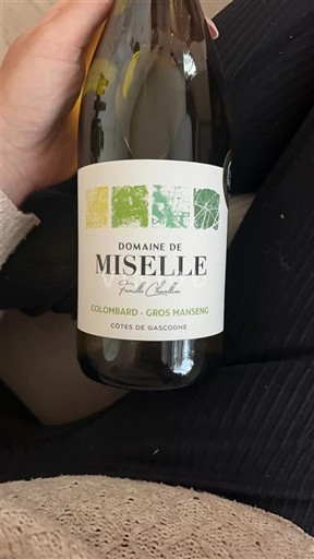 Viner Blanc sec Domaine Miselle 2024 Frankrike Sydväst Côtes de Gascogne IGP