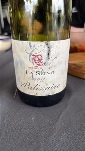 Альпи та Ронські землі « Кото де Л'Ардеш » Château La Selve Palisaire 2015