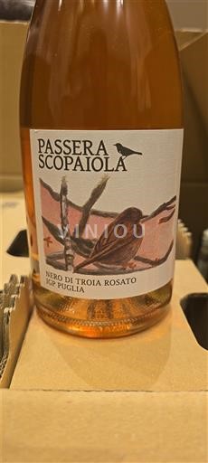 Puglia Không được chỉ định Passera Scopaiola 2024