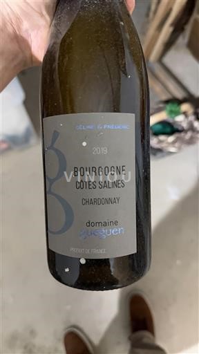 Бургундія Domaine Gueguen Côtes Salines 2019
