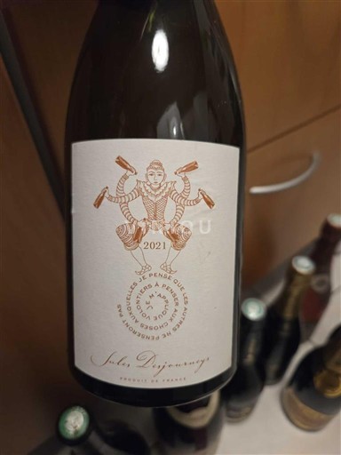 Beaujolais Jules Desjourneys 2021