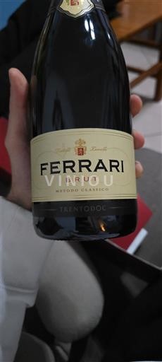 Tridentsko-Horní Adiže Nespecifikováno Ferrari Brut 2008