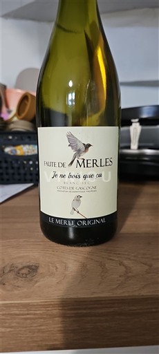 Vine Blanc sec Le Merle Original Fuite de Merles 2022 Frankrig Sydvestfrankrig Côtes de Gascogne IGP