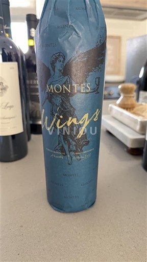 Долина Рапель Долина Колчагуа Montes Wings 2020