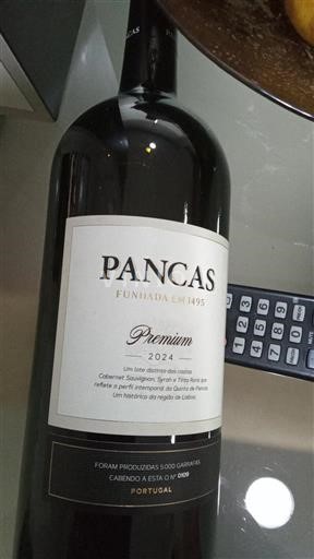 Bồ Đào Nha Lisboa Pancas 2020