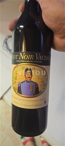 Воґд Во Patrick Fonjallaz Epesses 2024