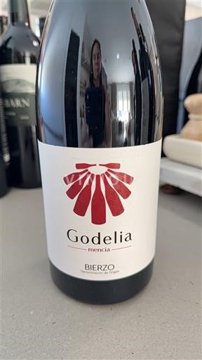 Кастилія і Леон Б'єрсо Godelia Mencía Без вінтажу