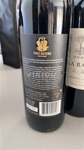 Онтаріо Ніагарський півострів Two Sisters Vineyards 2019