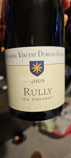 Бургундія Рюїй Domaine Vincent Dureuil-Janthial En Guesnes 2009