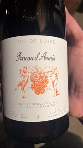 Луарська долина Шинон Christophe Baudry & Jean-Martin Dutour Pineau d’Aunis 2023