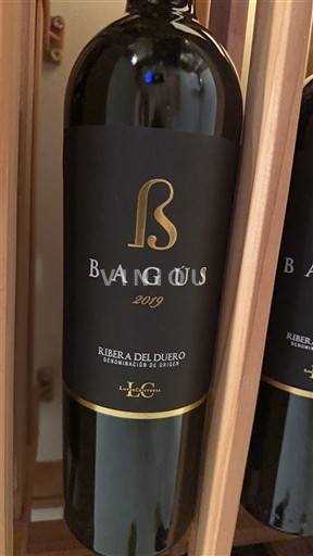 Кастилія і Леон Рибера-дель-Дуеро López Cristóbal Bagús 2019