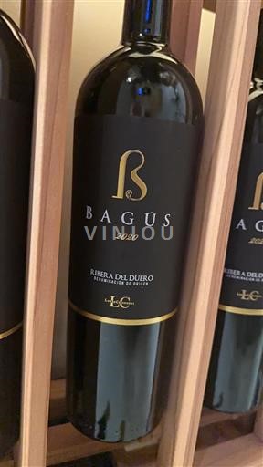 Кастилія і Леон Рибера-дель-Дуеро Hispanobodegas Bagús 2020