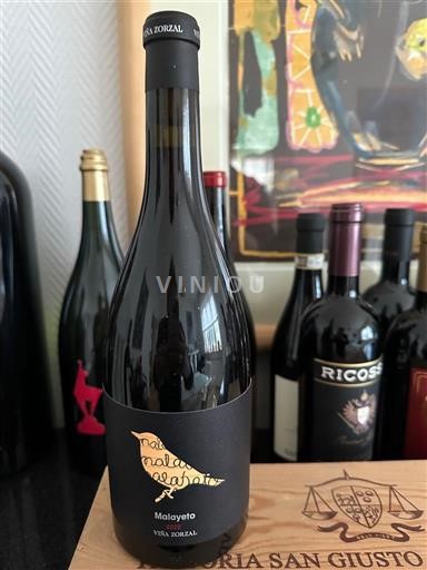 Navarra Viña Zorzal Malayeto Nemilésimat