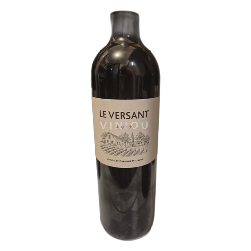 Bordeaux Castillon Côtes de Bordeaux Loulou et Caroline mitjavile Le versant 2019