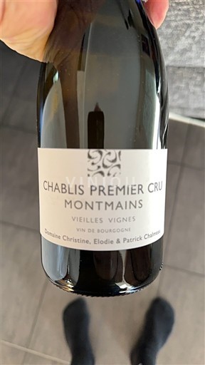 Бургундія Chablis Premier Cru Domaine Christine, Elodie & Patrick Chalmeau Montmains Vieilles Vignes 2022