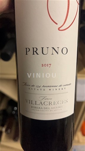 Кастилія і Леон Рибера-дель-Дуеро Finca Villacreces Pruno 2017