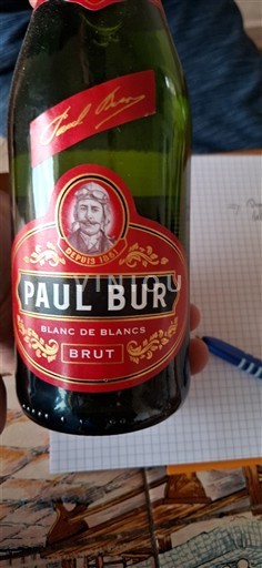 Alsazia Crémant d'Alsazia Paul Bur Blanc de Blancs Brut Senza annata