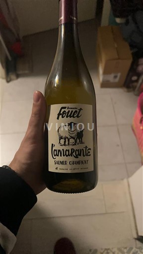 Loire-dalen Saumur-Champigny Domaine Fouet L'amarante 2023
