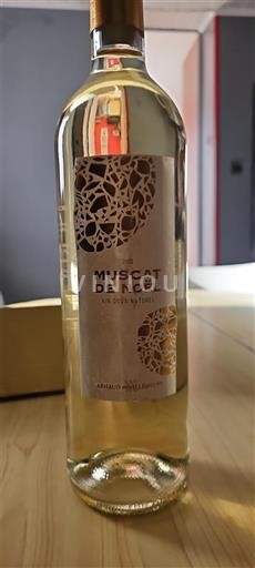 Лангедок Не вказано Muscat de Noël 2023