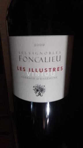 Вина Rouge sec Les Illustres Les Vignobles Foncalieu 2009 Франція Лангедок та Руссійон Кото д'Ансерун IGP