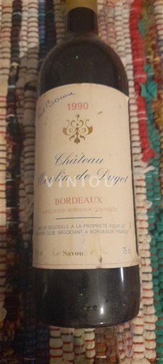 Bordeaux Château Moulin de Pugot 1990